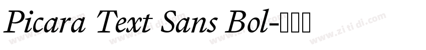 Picara Text Sans Bol字体转换 Picara Text Sans Bol字体转换